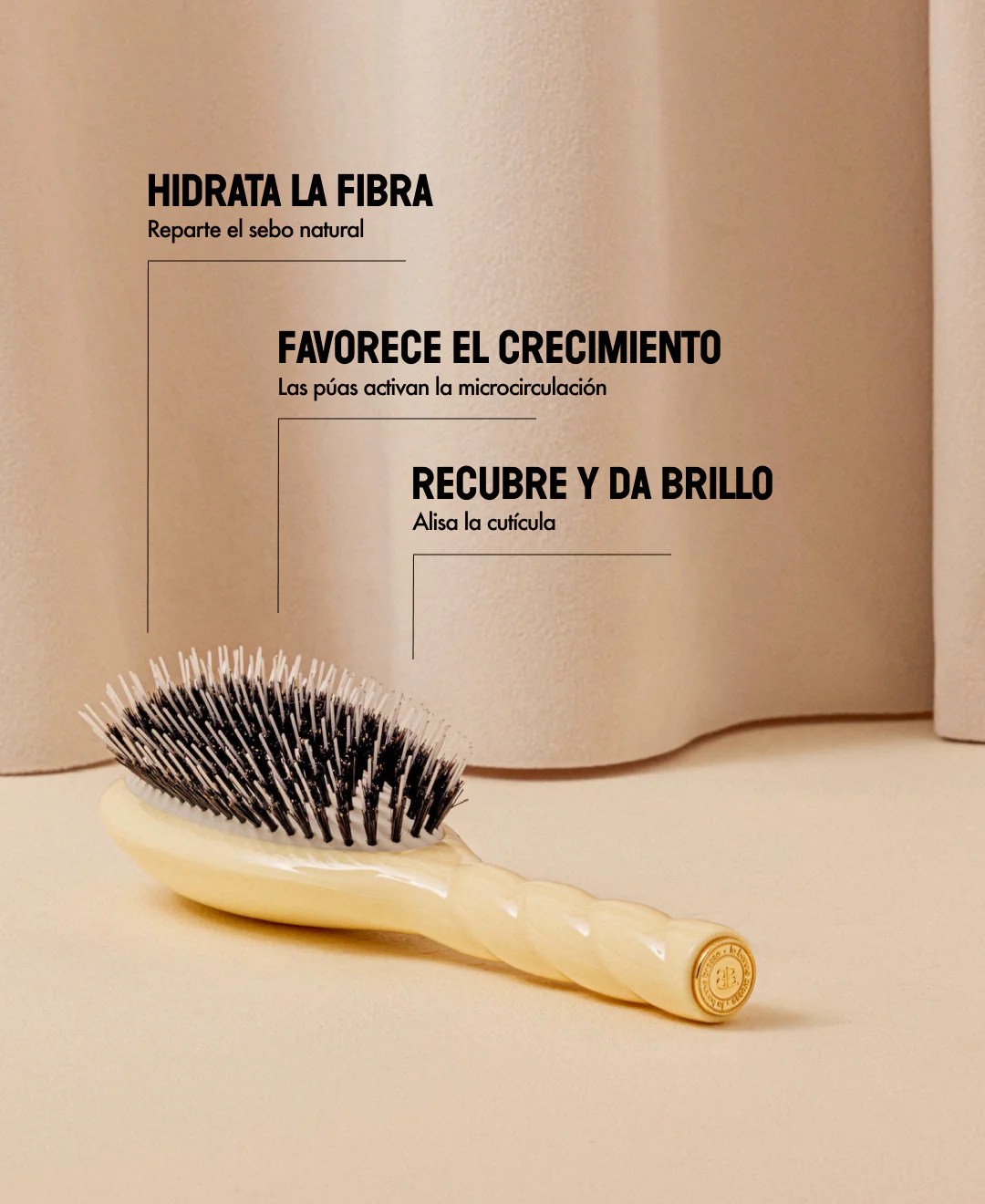 N.02 La Brosse Démêlante & Soin l'Indispensable Ivoire Cair - Image 14